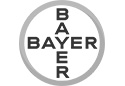 Logo__0006_BAYER Strober & Partner