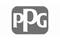 Logo__0018_PPG Deutschland Business Support GmbH Strober & Partner